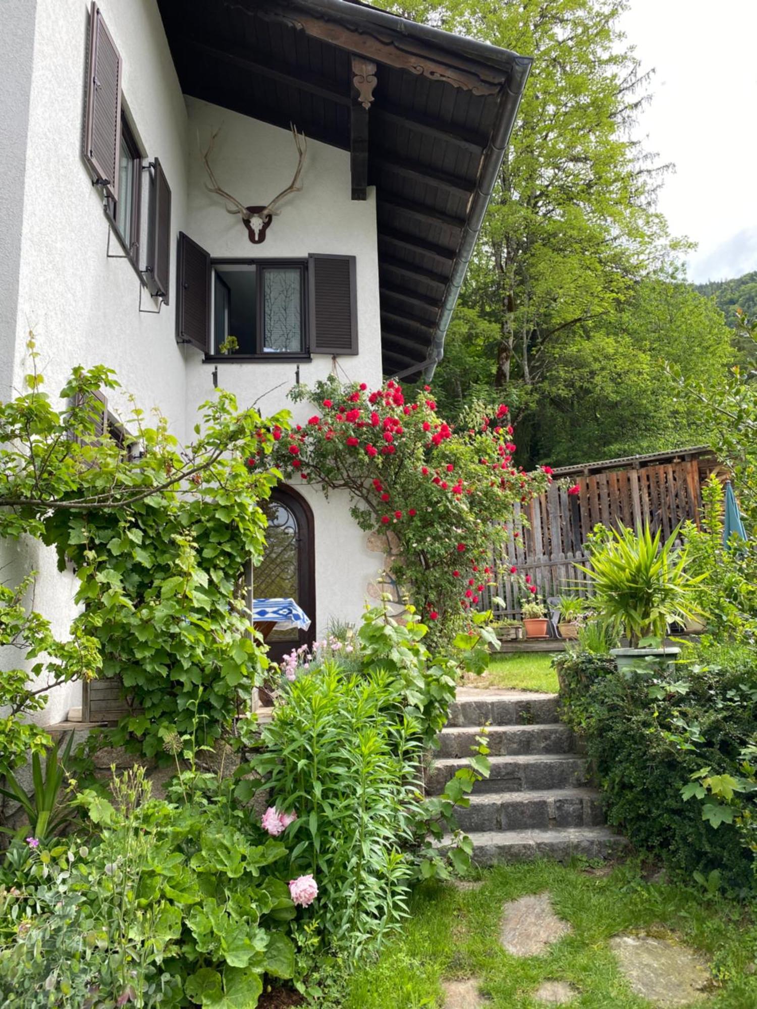 Ferienwohnung Laimer, Radau 37 Sankt Wolfgang im Salzkammergut Ngoại thất bức ảnh